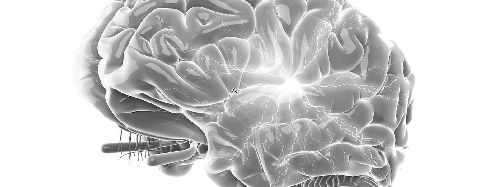 Brain function illustrating mental health issues